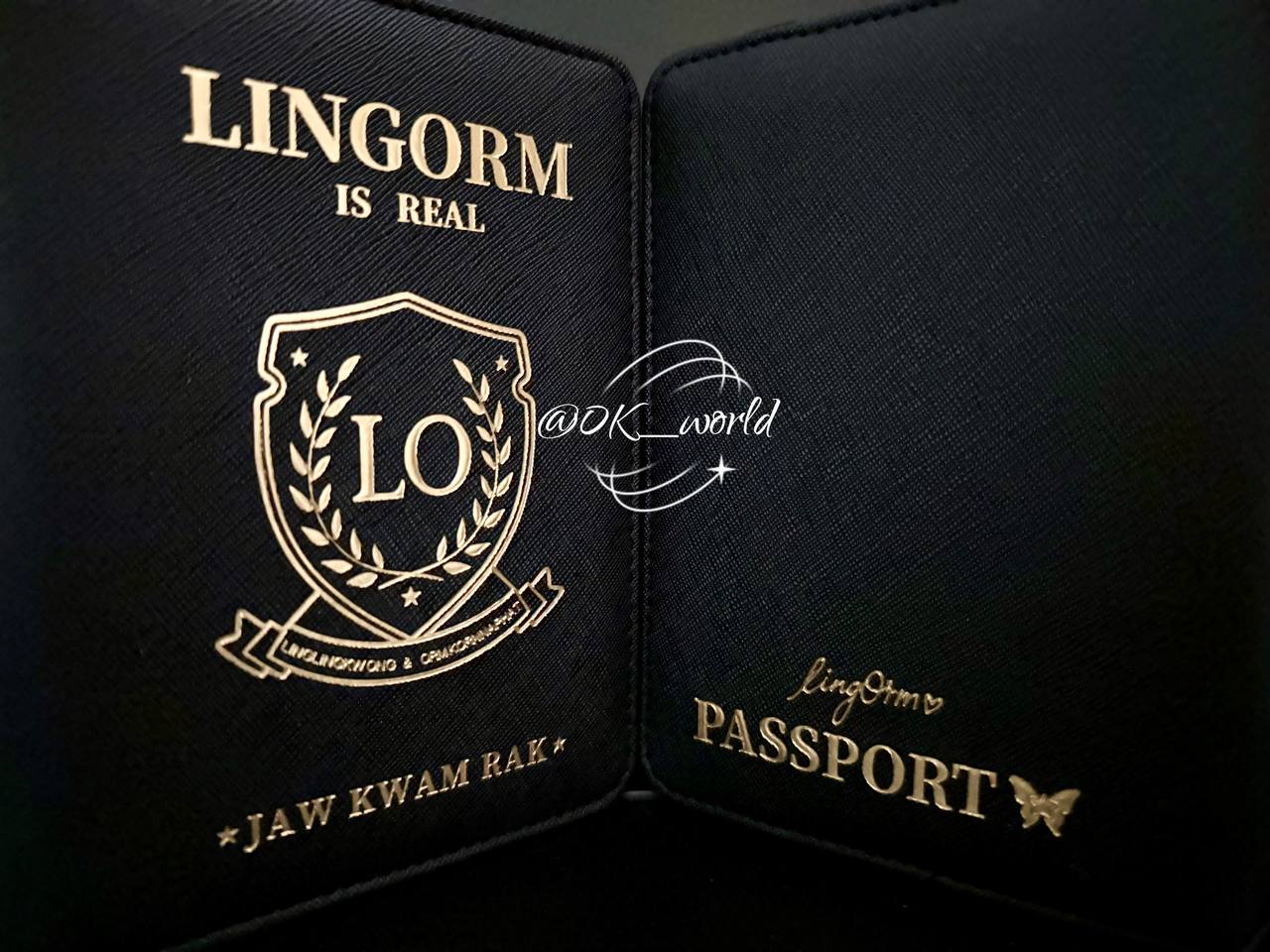 Lingorm Customize Passport Holder